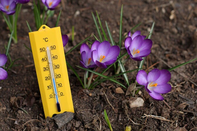 soil thermometer